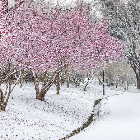 Parkavenue Guesthouse ソウル特別市 エクステリア 写真